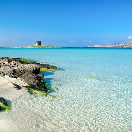 Country Village Sea By Interhome Apartment Stintino